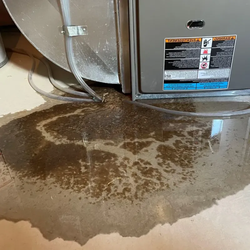 Pipe Burst and Leak Restoration in Hastings-on-Hudson, NY
